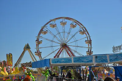 DSC_7567 (Large).JPG